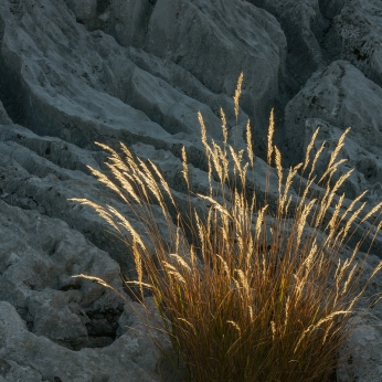 Geoparcul Platoul Mehedinți